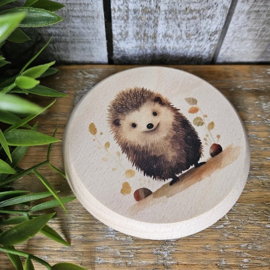 Dierenlijstje beuken egel - cadeau baby - decoratie babykamer - kinderkamer - kraamcadeau - Kerst - Sinterklaas - decoratie - houten gift - houten cadeau