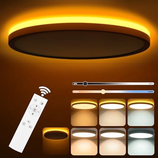 Dimbare LED plafondlamp met afstandsbediening en warm witte nachtmodus, perfect voor elke ruimte