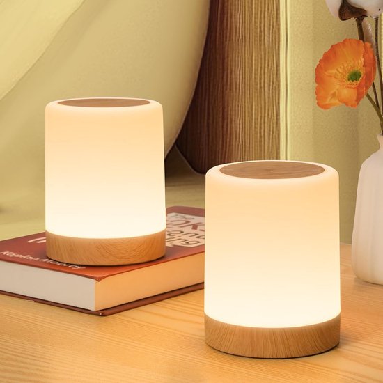 LED Bedside Lamp Set of 2 - USB Oplaadbare Tafel Lamp - Touch Dimmable met 256 RGB Kleuren - 3 Modi Nachtlamp voor Kinderen - Zonder Kabel met Timer en Geheugenfunctie - Accu Voeding 1500 van Merkloos
