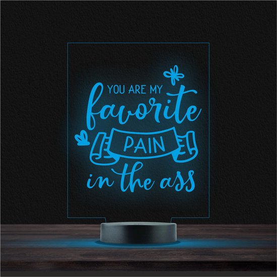 Ledlamp Met Gravering - RVS - You Are My Favorite Pain In The Ass van Merkloos