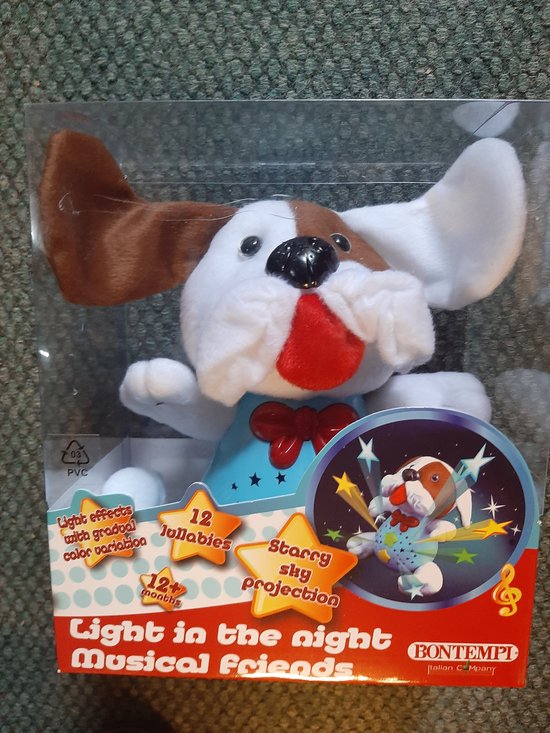 Musical Friends Light in the Night Bontempi van Music