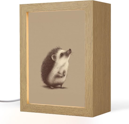 Nachtlampje 15x20 cm - Kinder lamp - Egel - Snuitje - Bruin - Stekels - Tafellamp kinderkamer - Slaapkamer lamp - Bedlamp kinderen - Kinderlampje stopcontact - Wandlamp babykamer - Nachtlampjes van Little Dreamzzz.