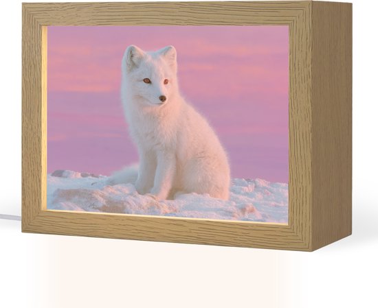Nachtlampje 20x15 cm - Kinder lamp - Poolvos - Sneeuw - Roze - Tafellamp kinderkamer - Slaapkamer lamp - Bedlamp kinderen - Kinderlampje stopcontact - Wandlamp babykamer - Nachtlampjes van Merkloos