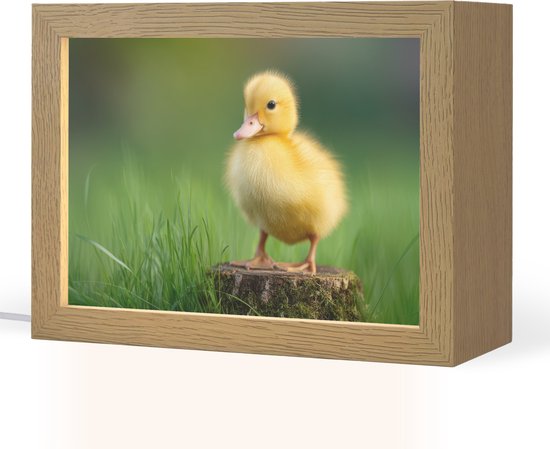 Nachtlampje 20x15 cm - Kinder lampje - Kuiken - Eend - Geel - Gras - Tafellamp kinderkamer - Slaapkamer lamp - Bedlamp kinderen - Kinderlampje stopcontact - Wandlamp babykamer - Nachtlampjes van Merkloos