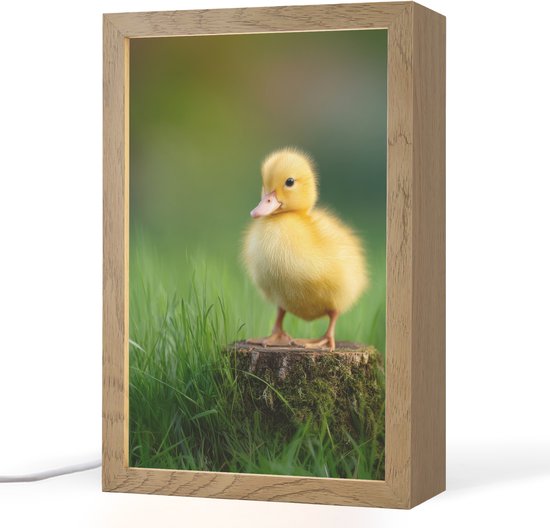 Nachtlampje 20x30 cm - Kinder lamp - Kuiken - Eend - Geel - Gras - Tafellamp kinderkamer - Slaapkamer lamp - Bedlamp kinderen - Kinderlampje stopcontact - Wandlamp babykamer - Nachtlampjes van Merkloos