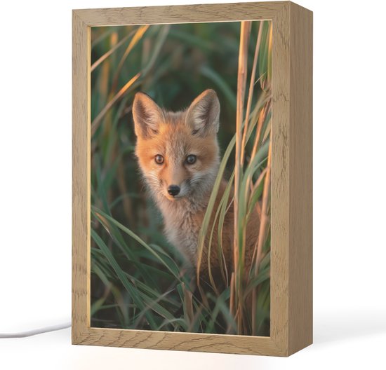 Nachtlampje 20x30 cm - Kinder lamp - Vos - Oranje - Gras - Tafellamp kinderkamer - Slaapkamer lamp - Bedlamp kinderen - Kinderlampje stopcontact - Wandlamp babykamer - Nachtlampjes van Merkloos