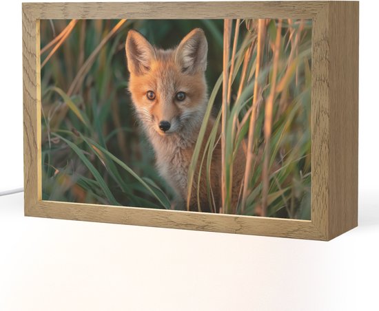 Nachtlampje 30x20 cm - Kinder lamp - Vos - Oranje - Gras - Tafellamp kinderkamer - Slaapkamer lamp - Bedlamp kinderen - Kinderlampje stopcontact - Wandlamp babykamer - Nachtlampjes van Merkloos