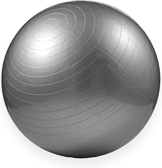 Padisport - fitnessbal 75 cm - zitbal 75 cm - zwangerschapsbal - fysio bal - oefenbal - yoga bal inclusief pomp - fitnessbal - pilates bal - yoga bal zilver - yoga bal 75 cm - yoga bal - fitness - Ziilver van Padisport