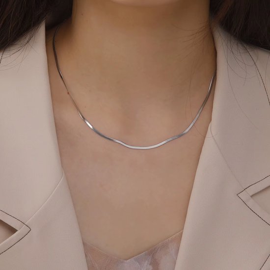 Roestvrijstalen Lange Ketting 50 cm x 2mm - Heren & Dames Halsketting, Trendy Mode-Sieraden Cadeau 2026 - Zilver van Cavor.
