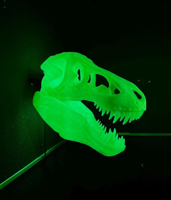 Trex Schedel RGB Lamp | Tyrannosaurus Dinosaurus Wandkunst – Unieke Woondecoratie, Gamingkamer, Kinder Nachtlampje, Bureau Decoratie van Merkloos
